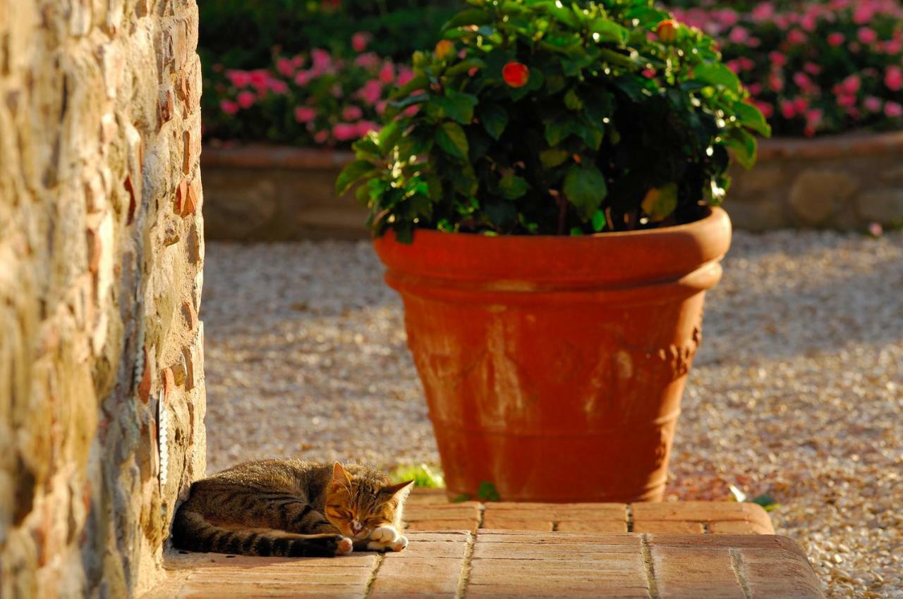 Relais Borgo Torale Ξενοδοχείο Passignano sul Trasimeno Εξωτερικό φωτογραφία